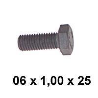 PARAFUSO 06 X 1,00 X 25 DIN933