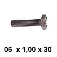 PARAFUSO 06 X 1,00 X 30 DIN933